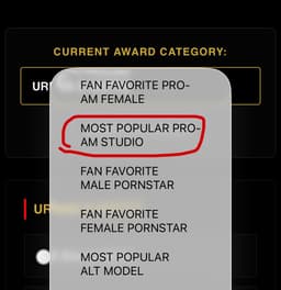 Most Popular Pro-Am Studio voting category